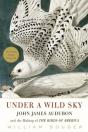 Under A Wild Sky - Preview
