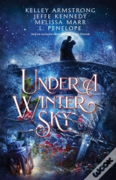 Under A Winter Sky