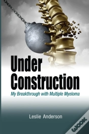 Capa do artigo Under Construction