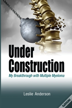 Capa do artigo Under Construction