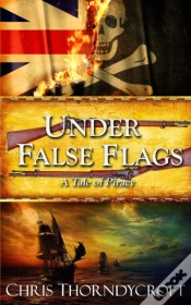 Capa do artigo Under False Flags