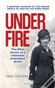 Capa do artigo Under Fire