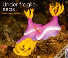 Under Fragile Seas