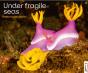 Under Fragile Seas - Preview