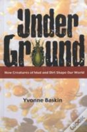 Capa do artigo Under Ground