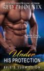 Under His Protection - Preview