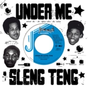 Capa do artigo Under Me Sleng Teng - Vinil