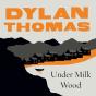 Under Milk Wood - Preview