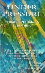 Capa do artigo Under Pressure, Permssion Changes Everything
