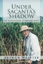 Under Sacanta'S Shadow: Life And Legends At Ground Level - Preview