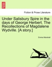 Capa do artigo Under Salisbury Spire In The Days Of Geo