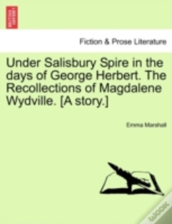 Capa do artigo Under Salisbury Spire In The Days Of Geo