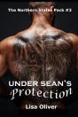 Under Sean'S Protection - Preview