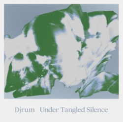Capa do artigo Under Tangled Silence - Vinil