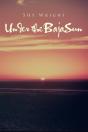 Under The Baja Sun - Preview