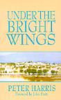 Under The Bright Wings - Preview