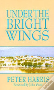 Capa do artigo Under The Bright Wings