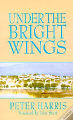 Capa do artigo Under The Bright Wings