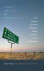 Under The Cap Of Invisibility - Preview