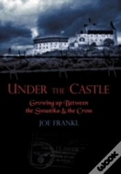 Capa do artigo Under The Castle