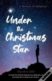 Capa do artigo Under The Christmas Star