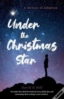 Capa do artigo Under The Christmas Star