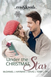 Capa do artigo Under The Christmas Star