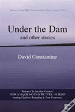 Capa do artigo Under The Dam