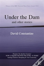 Capa do artigo Under The Dam