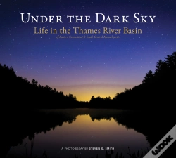 Capa do artigo Under The Dark Sky