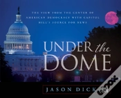 Capa do artigo Under The Dome