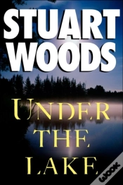 Capa do artigo Under The Lake