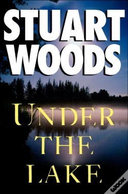 Capa do artigo Under The Lake