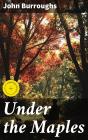 Under The Maples - Preview