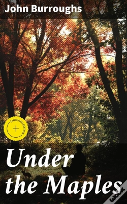 Capa do artigo Under The Maples