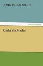 Under The Maples - Preview