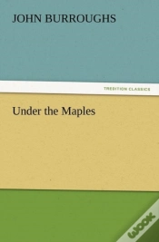 Capa do artigo Under The Maples