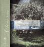 Under The Olive Tree - Preview
