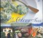 Under The Olive Tree - Preview