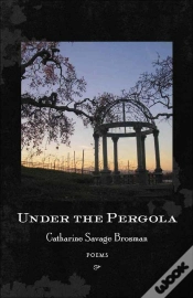 Capa do artigo Under The Pergola