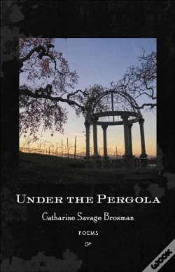 Capa do artigo Under The Pergola