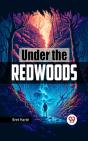 Under The Redwoods - Preview
