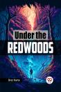 Under The Redwoods - Preview