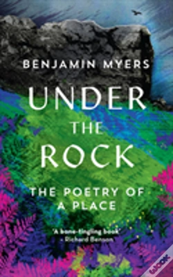 Capa do artigo Under The Rock
