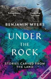 Capa do artigo Under The Rock
