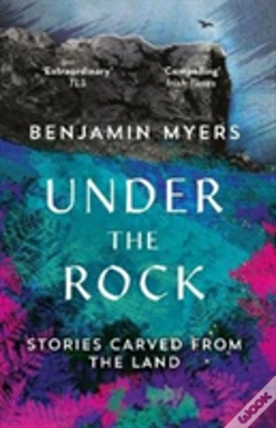 Capa do artigo Under The Rock