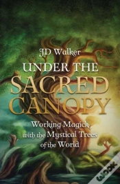 Capa do artigo Under The Sacred Canopy