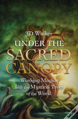 Capa do artigo Under The Sacred Canopy