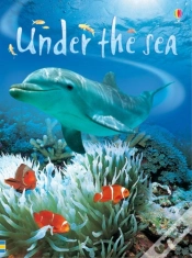 Capa do artigo Under The Sea