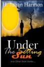 Under The Setting Sun - Preview